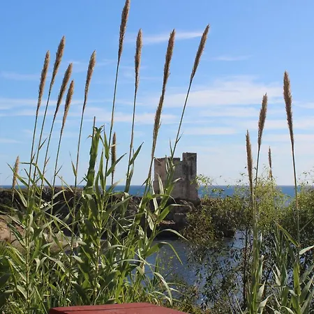 Amphora 2372 马尼尔瓦