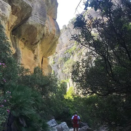 酒店 Amphora 2372 *