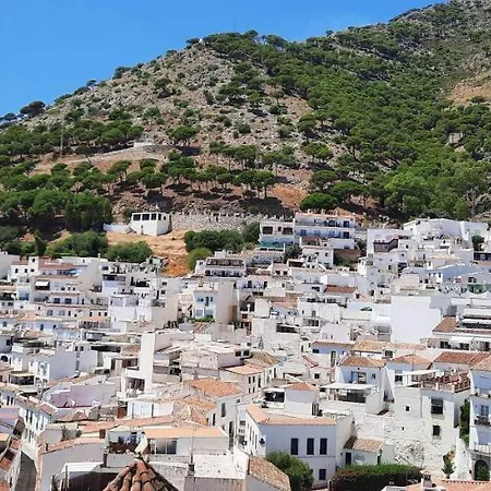 酒店 Amphora 2372 *