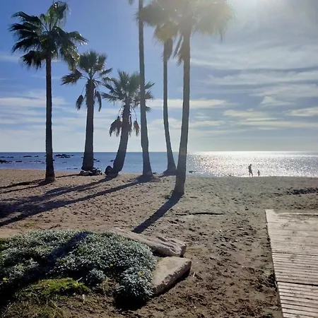 Amphora 2372 * 马尼尔瓦